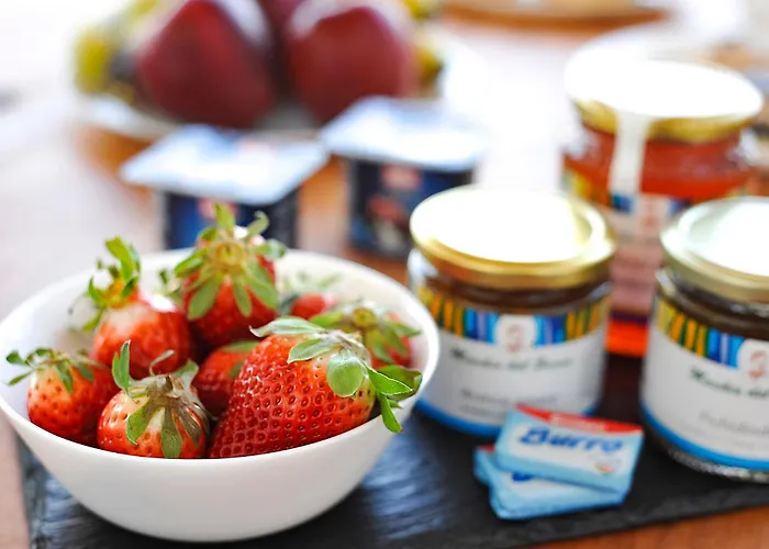 The View B&b, Terrace & B&B